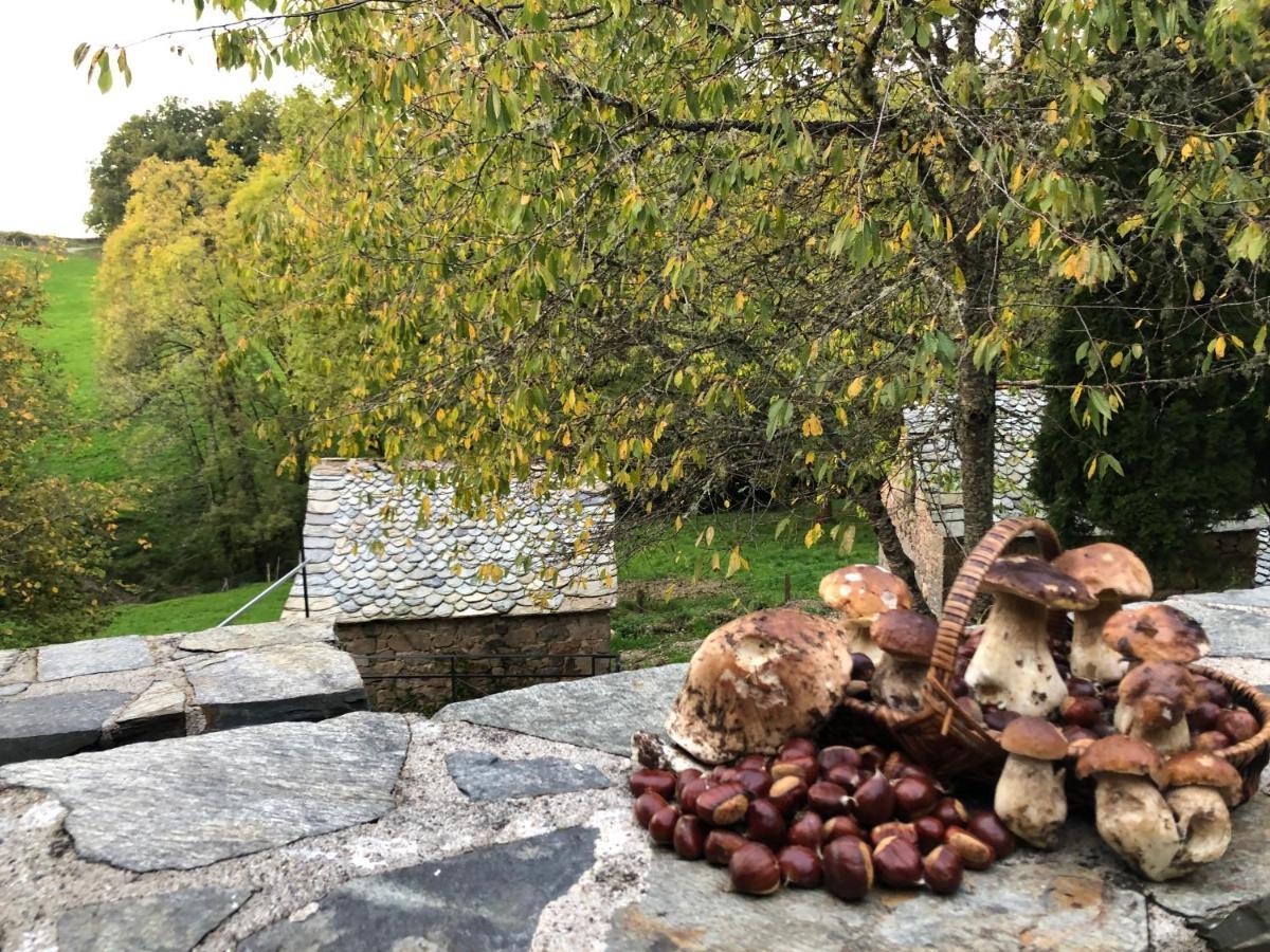 La Maison De Mon Pere Le Nayrac Ngoại thất bức ảnh